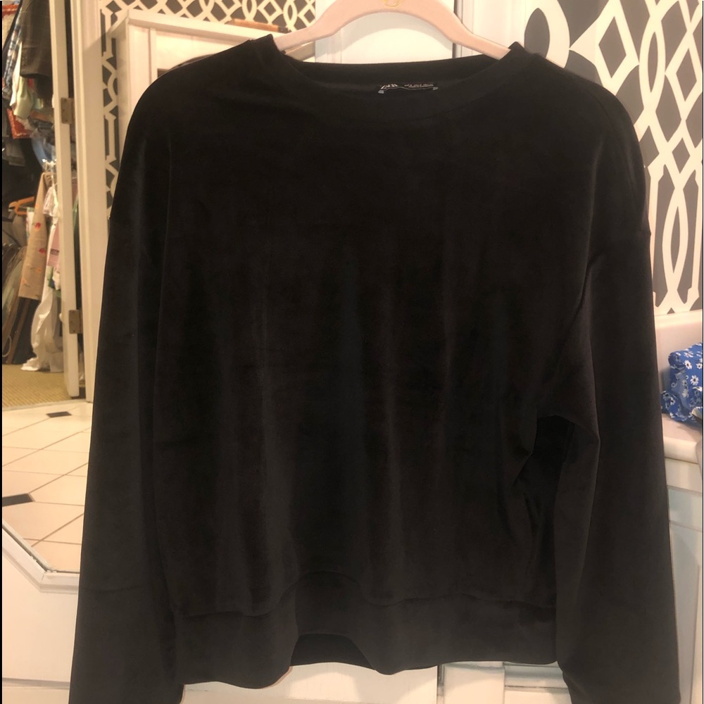 brand new ZARA velvet sweatshirt